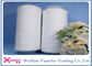 Plastic Tube Spun TFO High Tenacity Polyester Yarn 30/1 30/2 30/3 Raw White or Dyeing Color