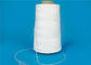 Strong Rice Sugar Bag Closing Polyester Sewing Thread Made from 100% Yizheng Polyester Fiber
